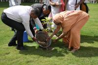 HH Swamiji plants a Rudraksha sapling in the courtyard arena, symbolizing spiritual growth and environmental consciousness